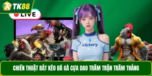 Chiến thuật bắt kèo đá gà cựa dao trăm trận trăm thắng